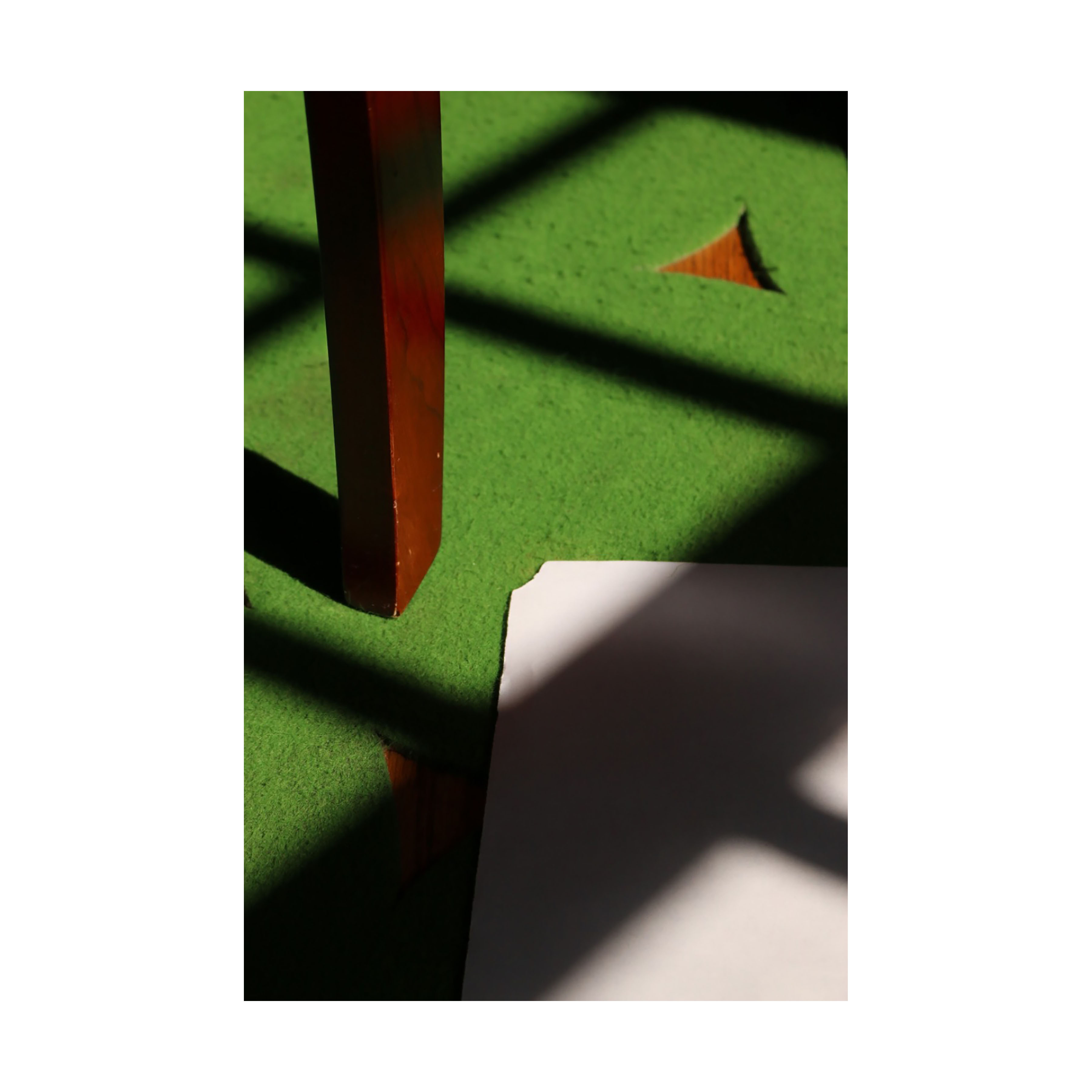 Sophie Carroll - Green Concentration