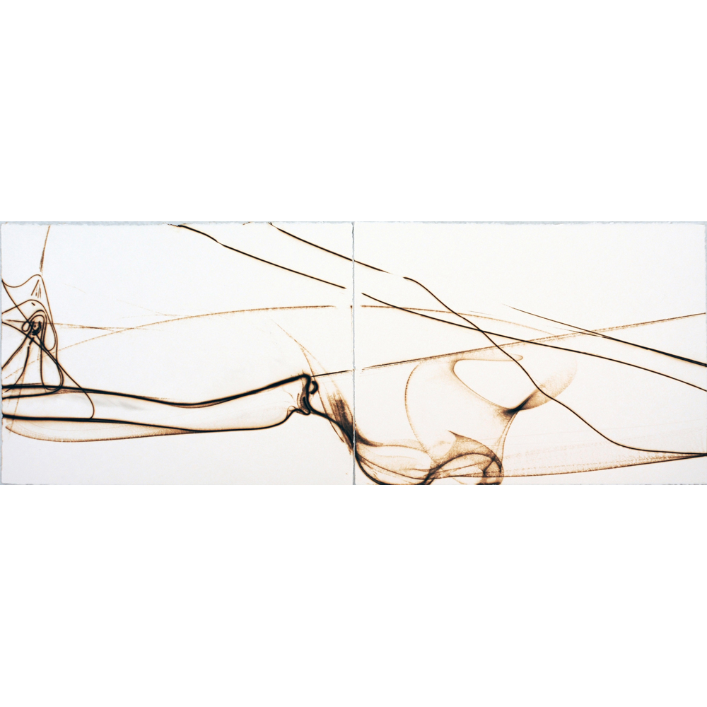 Etsuko Ichikawa - Trace 5809 (diptych)