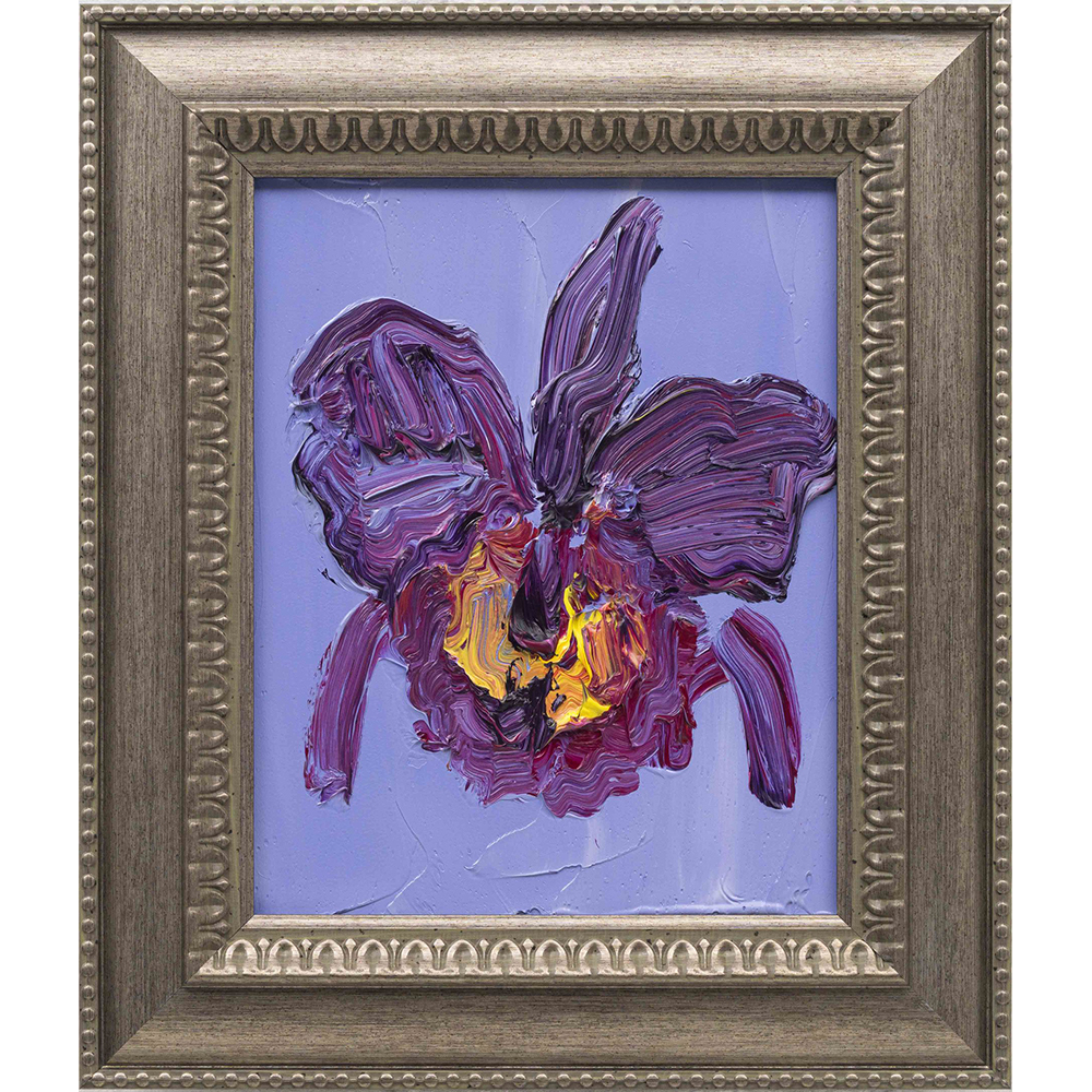 Hunt Slonem  - Cateleya