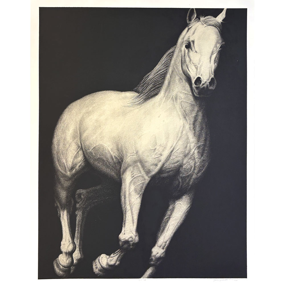 Joseph Piccillo - EP IV