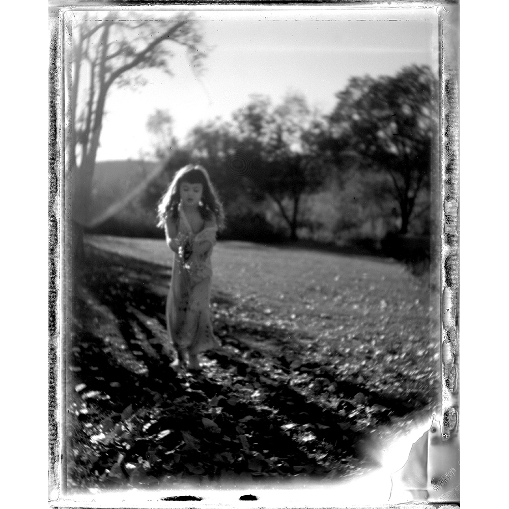Julie Graber - Collect