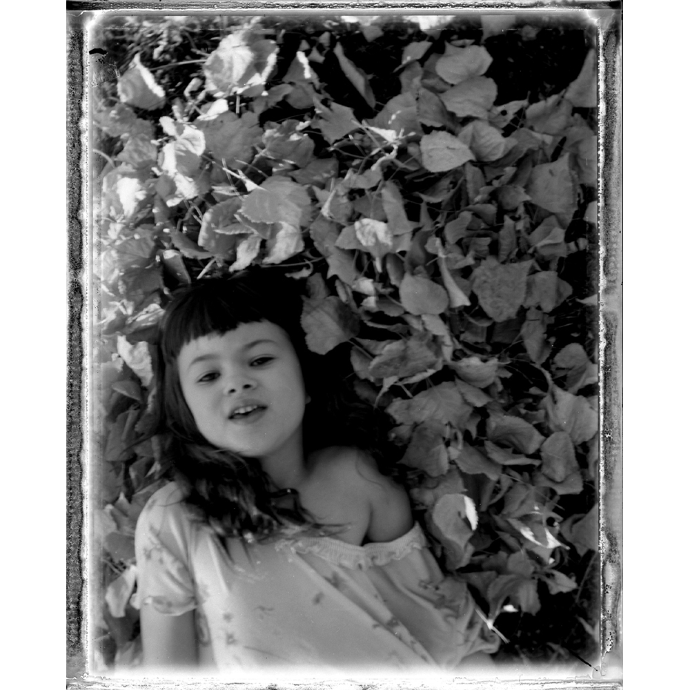 Julie Graber - Stare