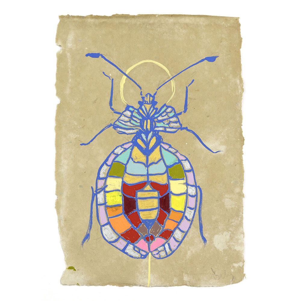 Swoon  - Elly's Notebook "Colorful Insect"