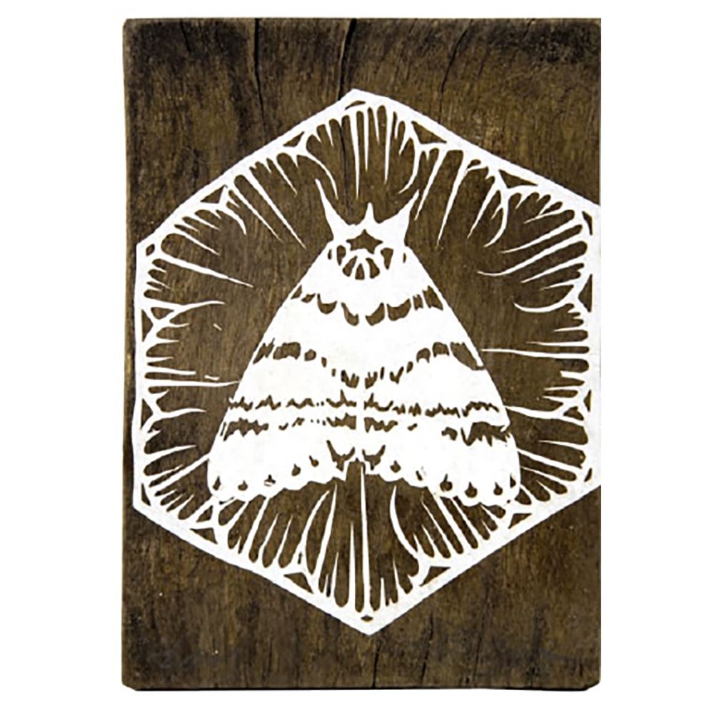 Swoon  - Eidophone 49