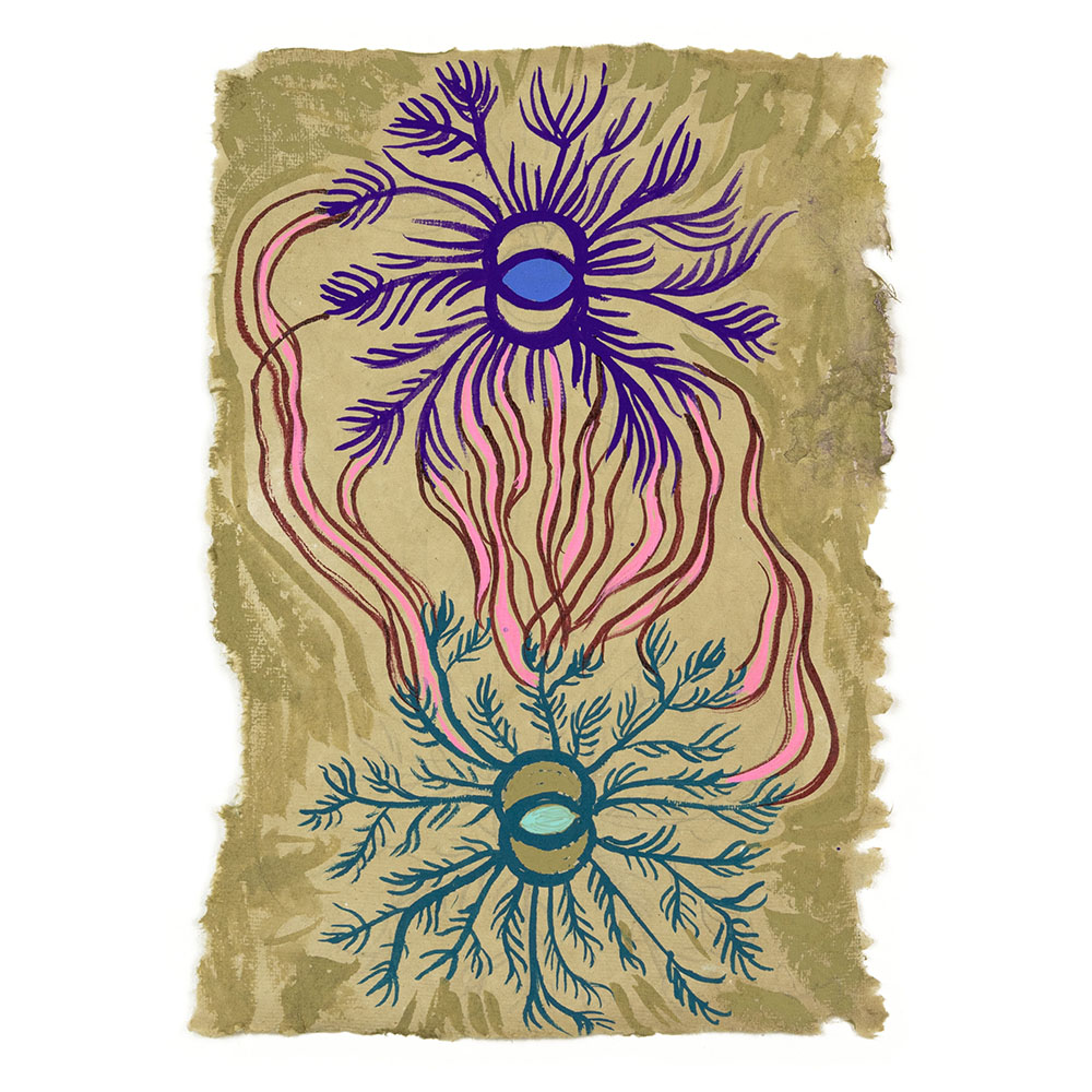 Swoon  - Elly's Notebook "Electricity"