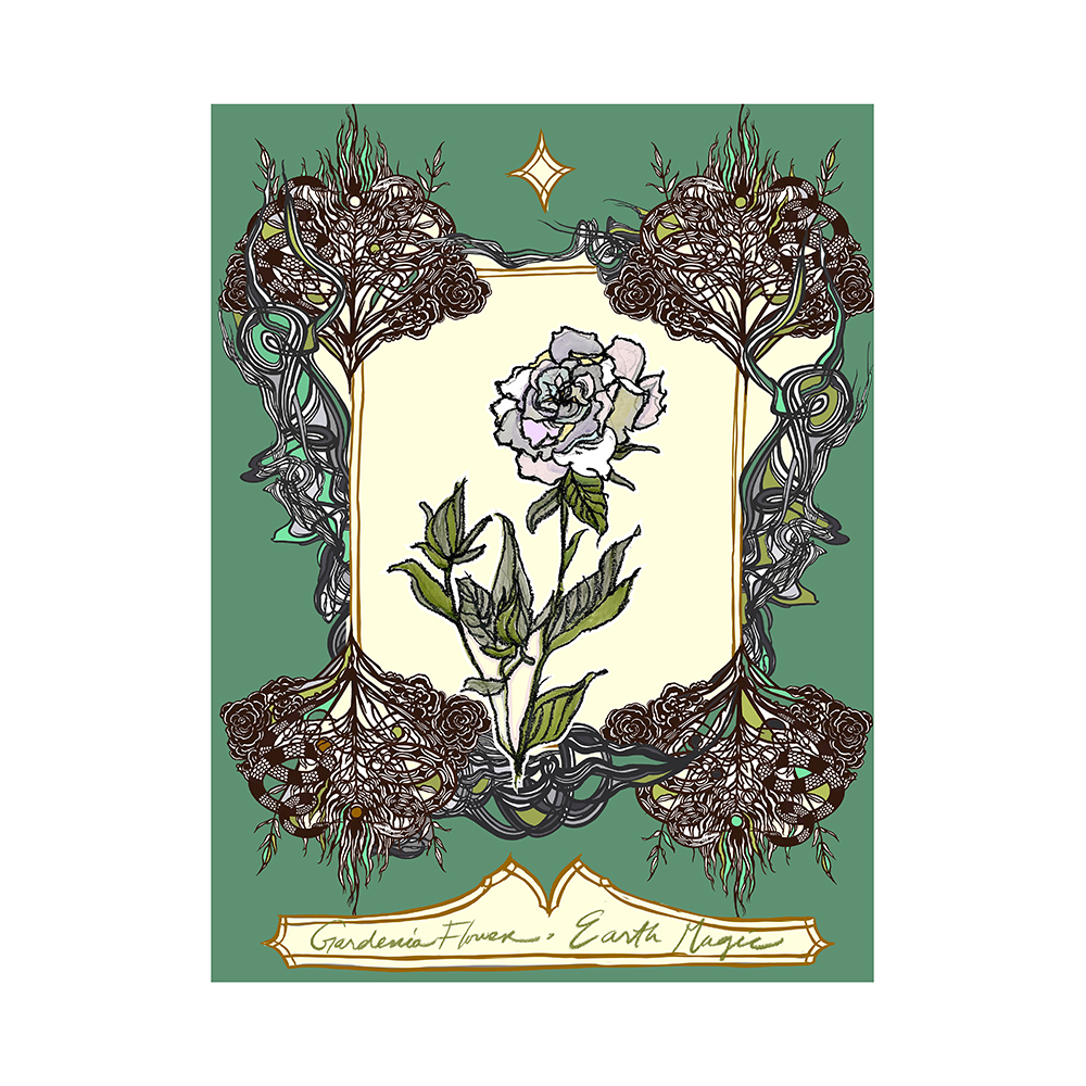 Swoon - Oracle Deck: Gardenia Flower-Earth Magic