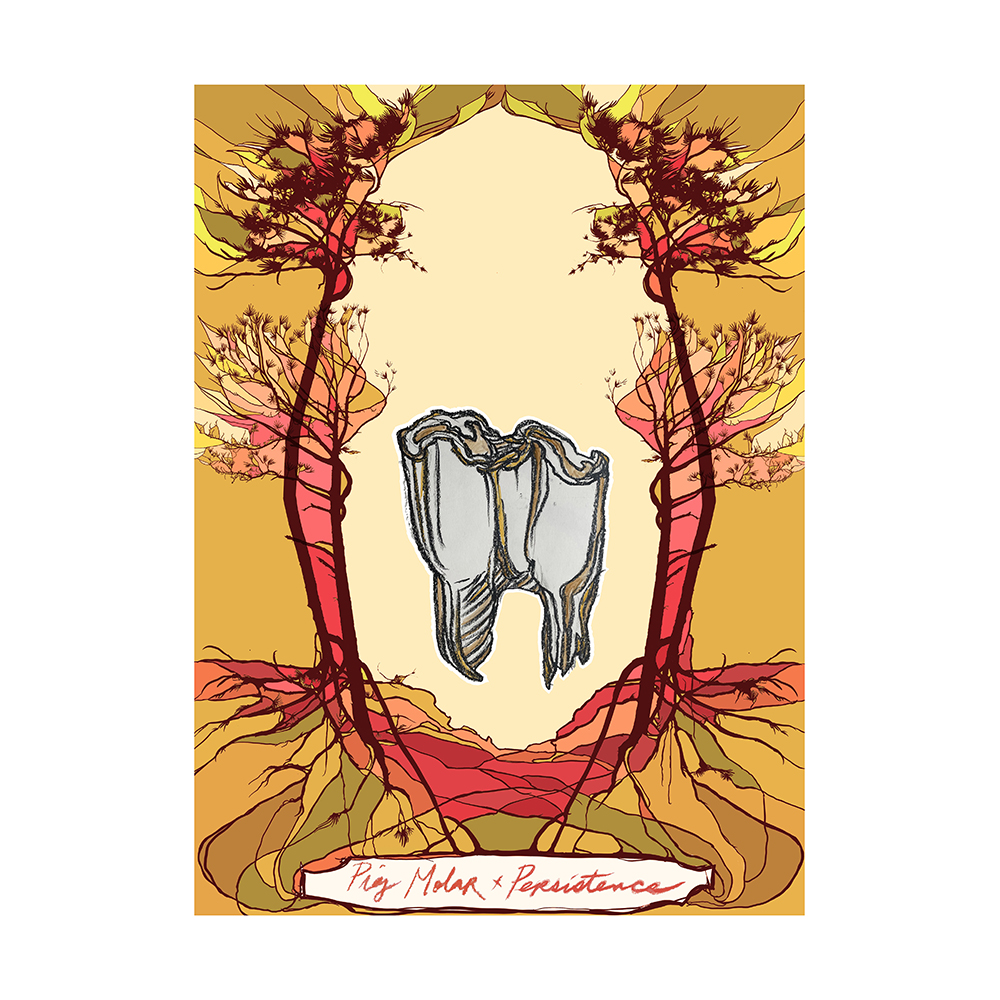Swoon   - Oracle Deck: Pig Molar-Persistance
