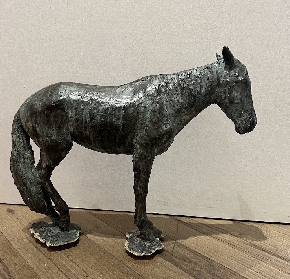 Calyxte Campe - Small Horse