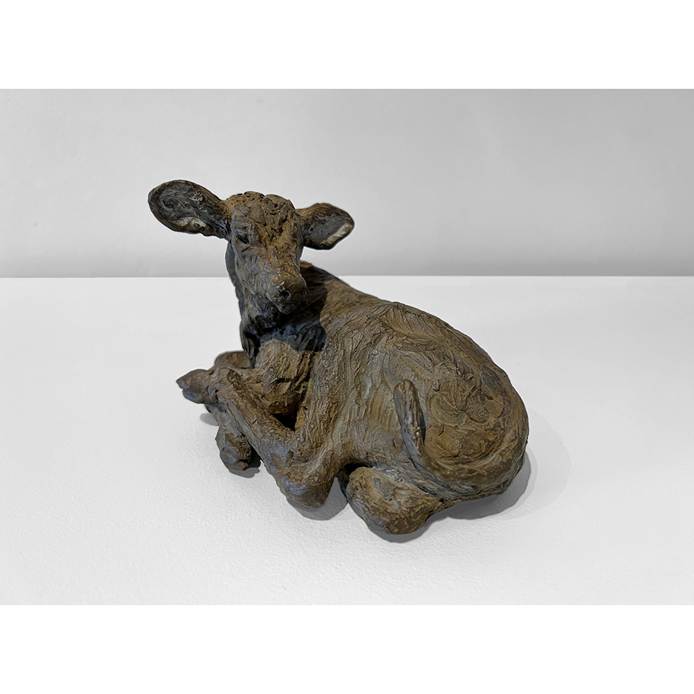 Calyxte Campe - Cow