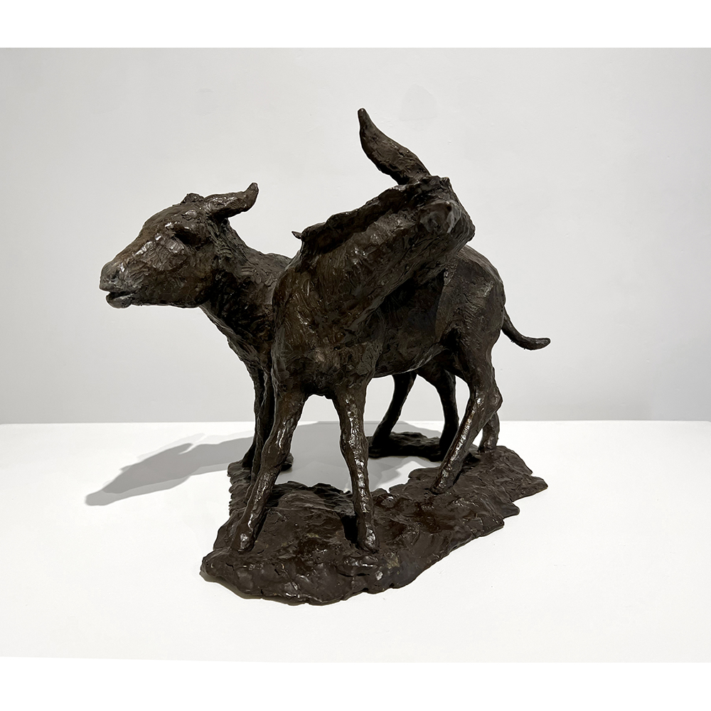 Calyxte Campe - Donkeys
