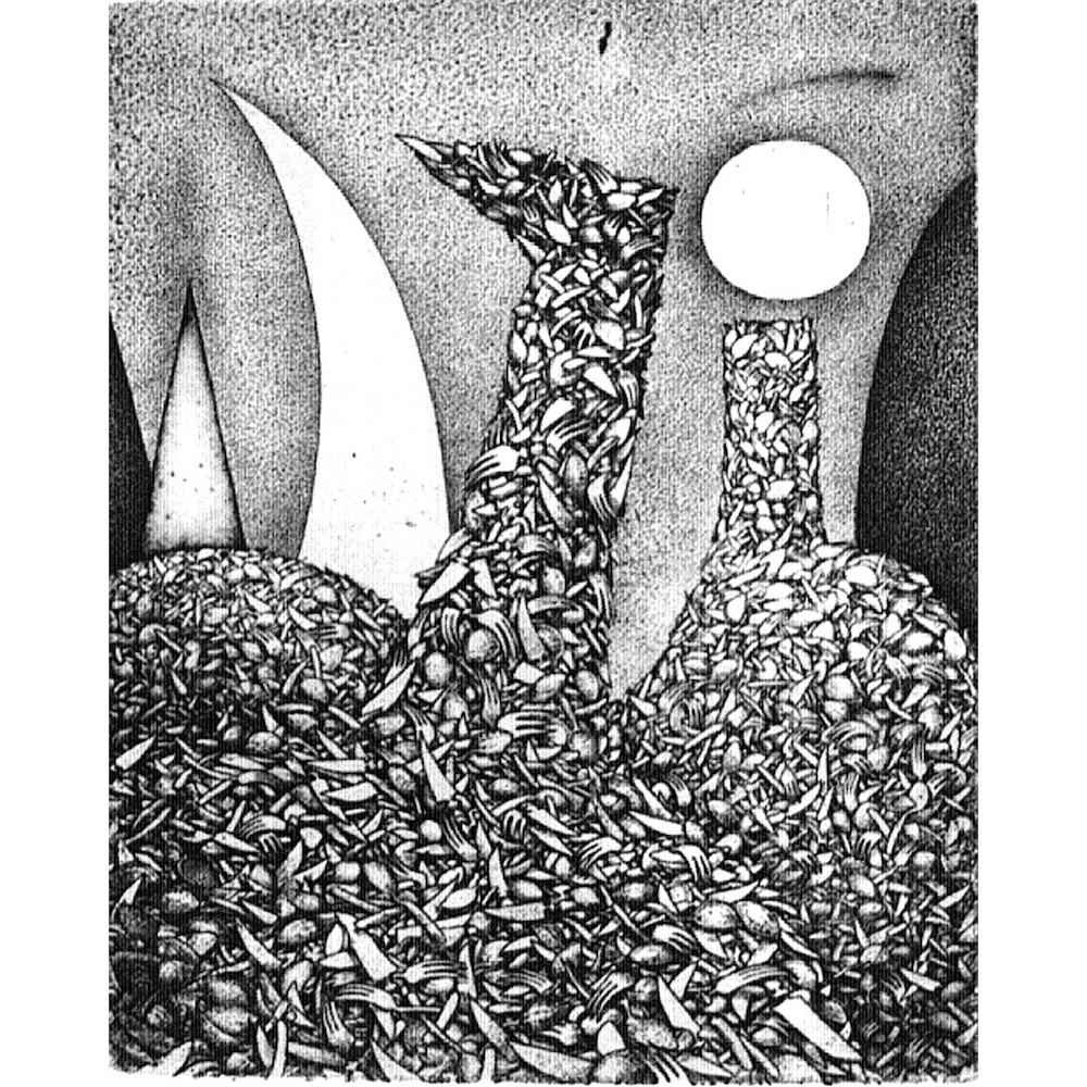 Nele Zirnite - Nature Morte