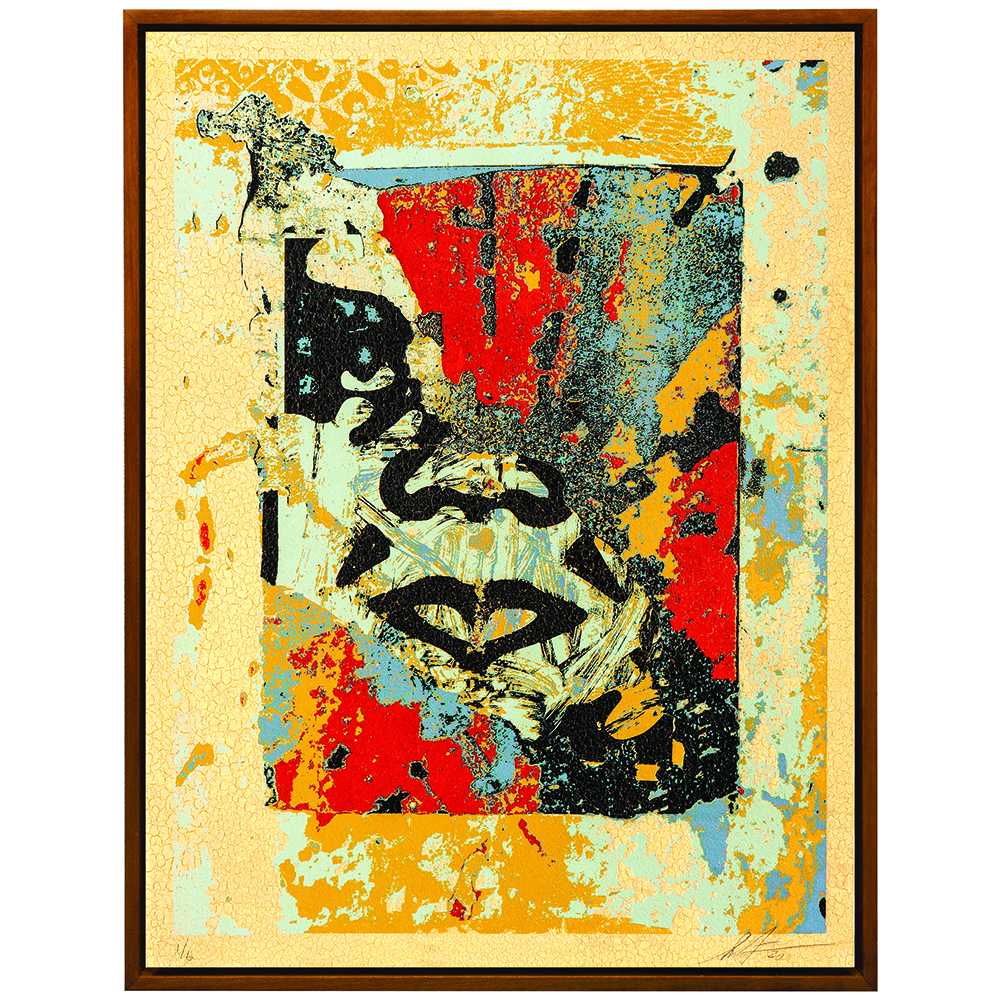 Shepard Fairey - Enhanced Disintegration 5/6