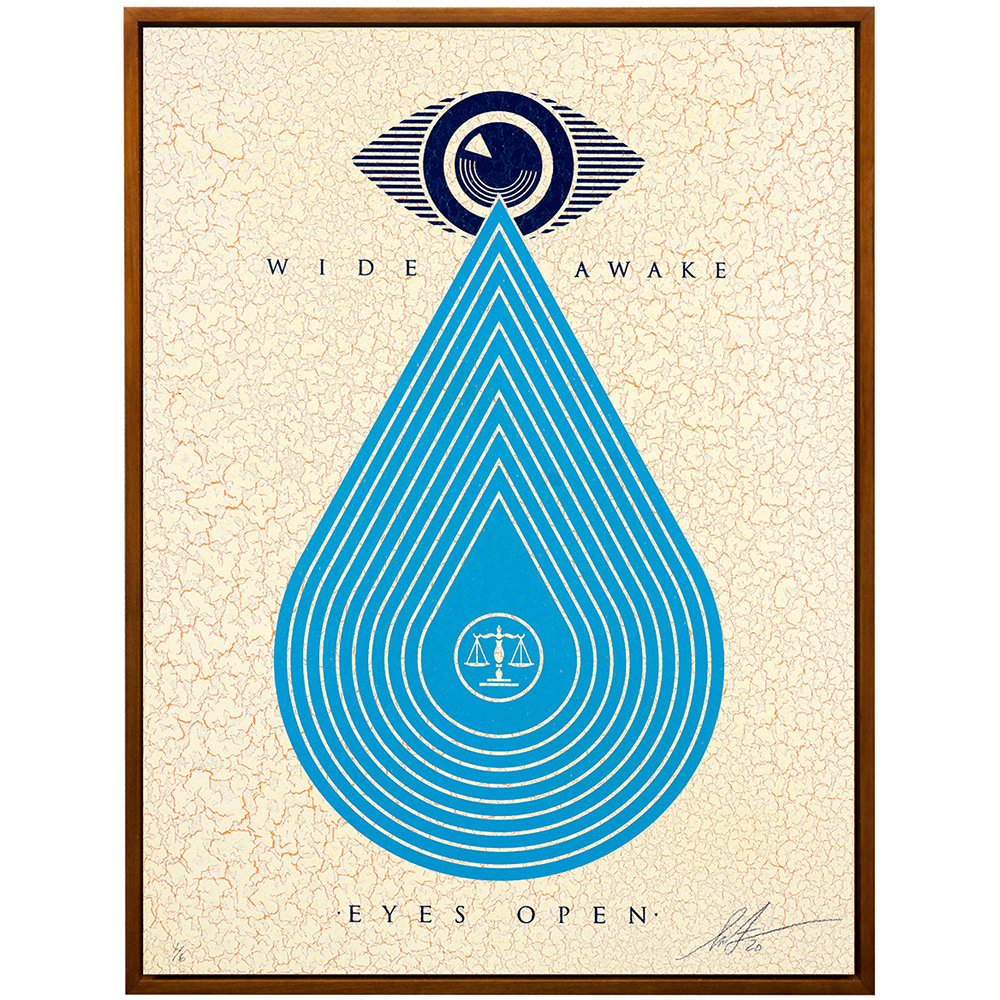 Shepard Fairey - Wide Awake Eyes Open