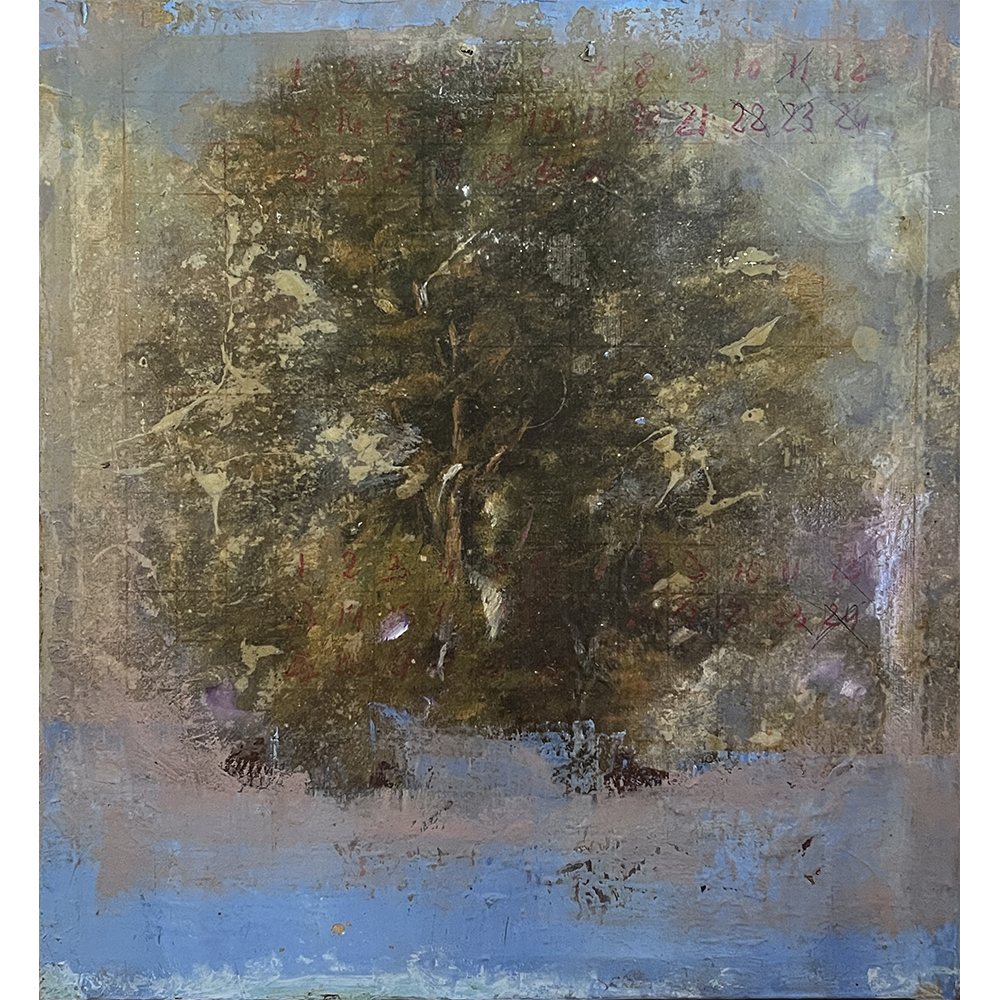 Didier Mahieu - Untitled