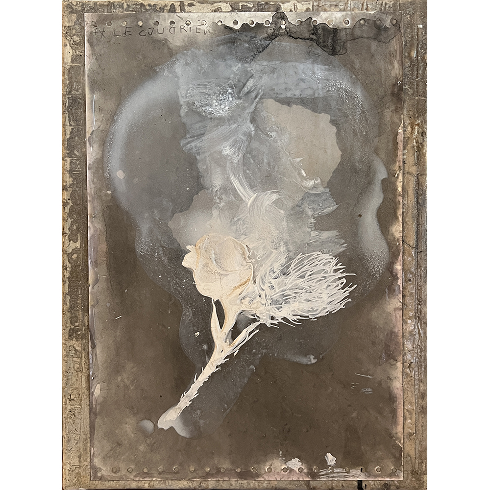 Didier Mahieu - Untitled